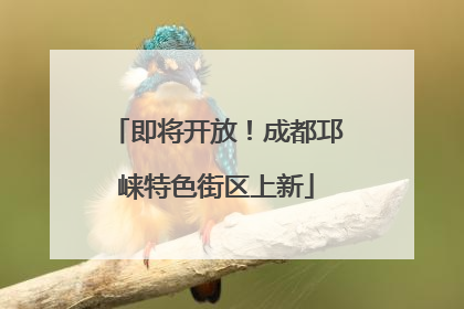即将开放！成都邛崃特色街区上新