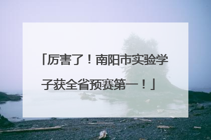 厉害了！南阳市实验学子获全省预赛第一！