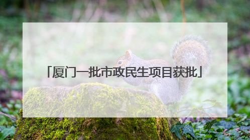 厦门一批市政民生项目获批