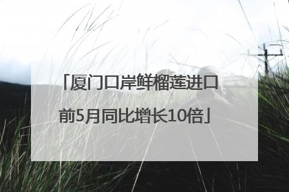 厦门口岸鲜榴莲进口 前5月同比增长10倍