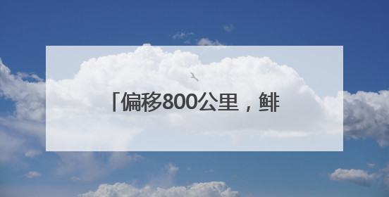 偏移800公里，鲱鱼集体失忆。它们为何找不到回家的路？