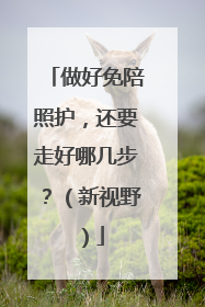 做好免陪照护，还要走好哪几步？（新视野）
