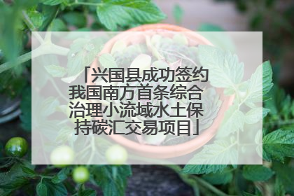 兴国县成功签约我国南方首条综合治理小流域水土保持碳汇交易项目