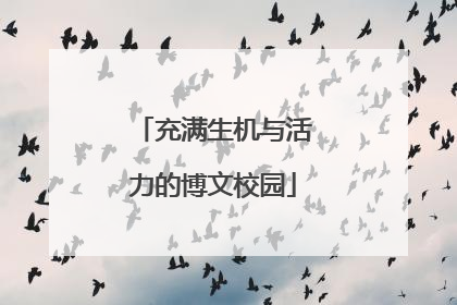 充满生机与活力的博文校园