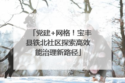 党建+网格！宝丰县铁北社区探索高效能治理新路径