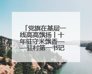 党旗在基层一线高高飘扬丨十年驻守米飘香——驻村第一书记莫日发的乡村印记