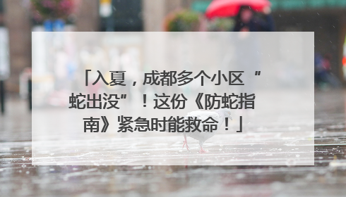 入夏，成都多个小区“蛇出没”！这份《防蛇指南》紧急时能救命！