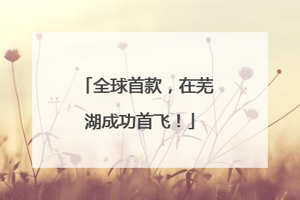 全球首款，在芜湖成功首飞！