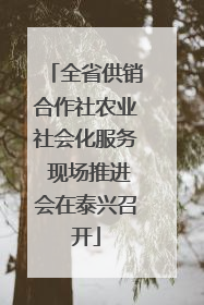 全省供销合作社农业社会化服务 现场推进会在泰兴召开