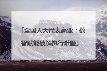 全国人大代表高亚：数智赋能破解执行难题