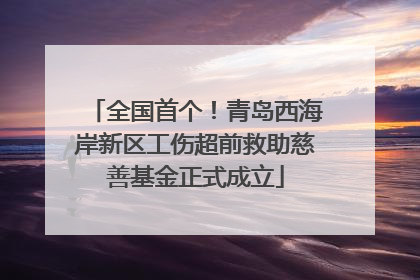 全国首个！青岛西海岸新区工伤超前救助慈善基金正式成立