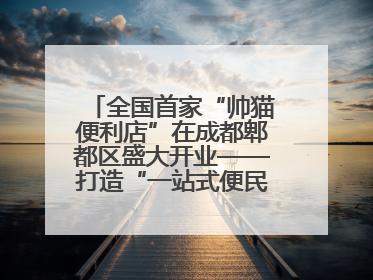 全国首家“帅猫便利店”在成都郫都区盛大开业——打造“一站式便民服务”新标杆