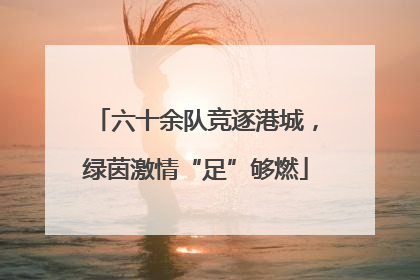 六十余队竞逐港城，绿茵激情“足”够燃