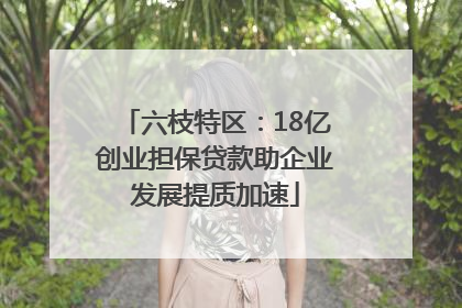 六枝特区：18亿创业担保贷款助企业发展提质加速