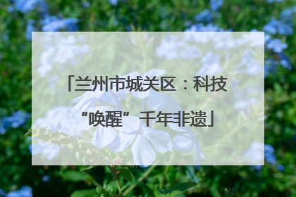 兰州市城关区：科技“唤醒”千年非遗