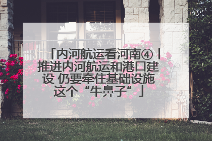 内河航运看河南④丨推进内河航运和港口建设 仍要牵住基础设施这个“牛鼻子”