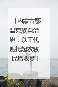 内蒙古鄂温克族自治旗：以工代赈托起农牧民增收梦