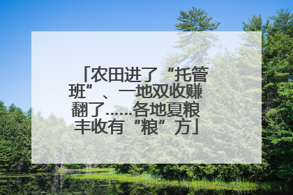 农田进了“托管班”、一地双收赚翻了……各地夏粮丰收有“粮”方