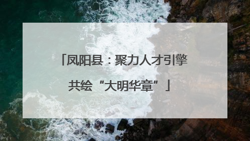 凤阳县：聚力人才引擎 共绘“大明华章”