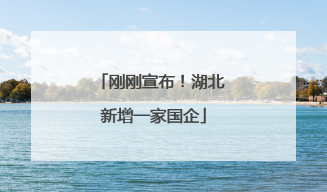 刚刚宣布！湖北新增一家国企