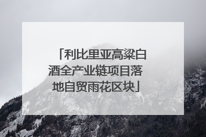 利比里亚高粱白酒全产业链项目落地自贸雨花区块
