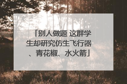 别人做题 这群学生却研究仿生飞行器、青花椒、水火箭