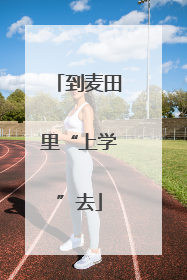 到麦田里“上学”去