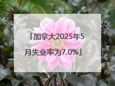 加拿大2025年5月失业率为7.0%