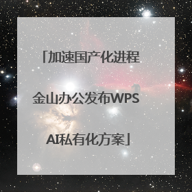 加速国产化进程 金山办公发布WPS AI私有化方案