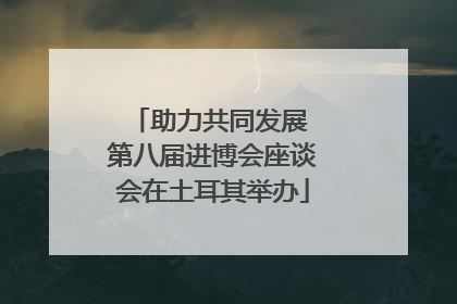 助力共同发展 第八届进博会座谈会在土耳其举办