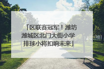 区联赛冠军！潍坊潍城区北门大街小学排球小将扣响未来