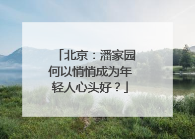 北京：潘家园何以悄悄成为年轻人心头好？