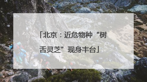 北京：近危物种“树舌灵芝”现身丰台