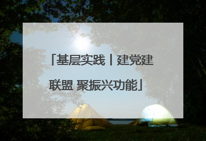 基层实践丨建党建联盟 聚振兴功能