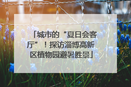 城市的“夏日会客厅”！探访淄博高新区植物园避暑胜景