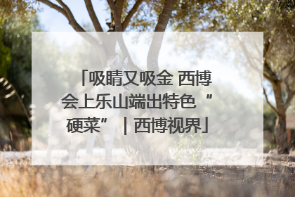 吸睛又吸金 西博会上乐山端出特色“硬菜”｜西博视界