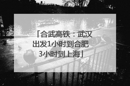 合武高铁：武汉出发1小时到合肥3小时到上海
