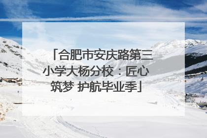 合肥市安庆路第三小学大杨分校：匠心筑梦 护航毕业季