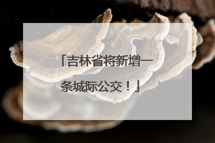 吉林省将新增一条城际公交！