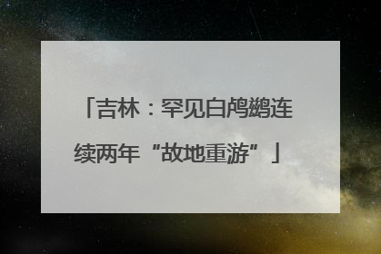 吉林：罕见白鸬鹚连续两年“故地重游”