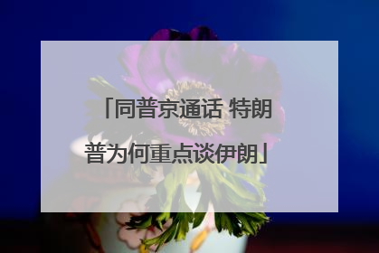 同普京通话 特朗普为何重点谈伊朗