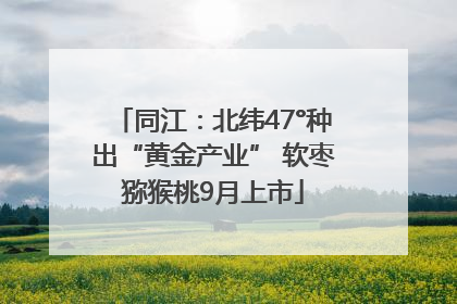 同江：北纬47°种出“黄金产业” 软枣猕猴桃9月上市