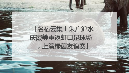 名宿云集！朱广沪水庆霞等重返虹口足球场，上演绿茵友谊赛