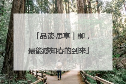 品读·思享｜柳，最能感知春的到来