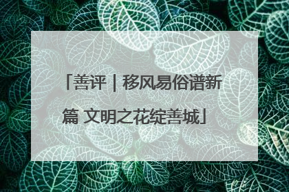 善评｜移风易俗谱新篇 文明之花绽善城