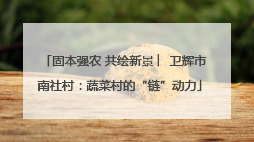 固本强农 共绘新景 ︳卫辉市南社村：蔬菜村的“链”动力