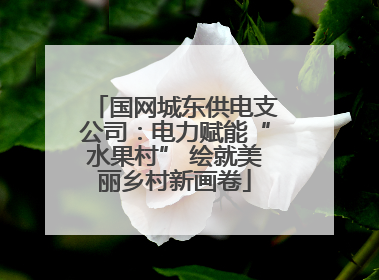 国网城东供电支公司：电力赋能“水果村” 绘就美丽乡村新画卷