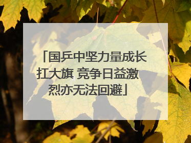 国乒中坚力量成长扛大旗 竞争日益激烈亦无法回避