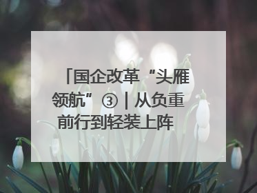 国企改革“头雁领航”③｜从负重前行到轻装上阵 重庆以“瘦身”谋“健体”