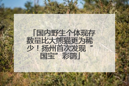 国内野生个体现存数量比大熊猫更为稀少！扬州首次发现“国宝”彩鹮
